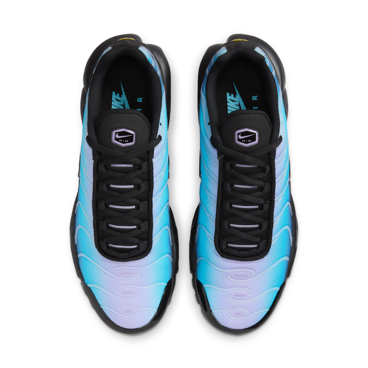 Nike Air Max Plus Black Hydrangeas (Women's) | HV2510-001