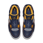 Jordan 4 Retro Dunk From Above