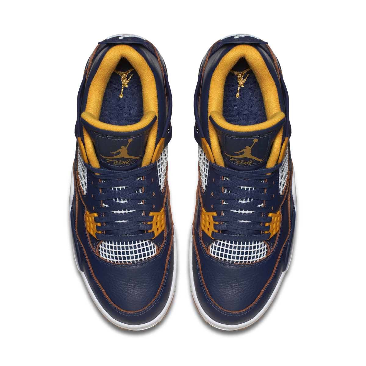 Jordan 4 Retro Dunk From Above