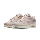 Nike Air Max 1 Pinnacle Arctic Pink