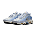 Nike Air Max Plus Daybreak (Women's) | DZ3670-004