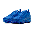 Nike Air VaporMax Plus Game Royal Metallic Silver | HJ9148-480
