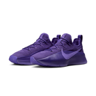 Nike LeBron TR 1 Purple Rain | FJ6151-500