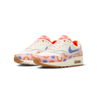 Nike Air Max 1 SE Everything You Need (GS)
