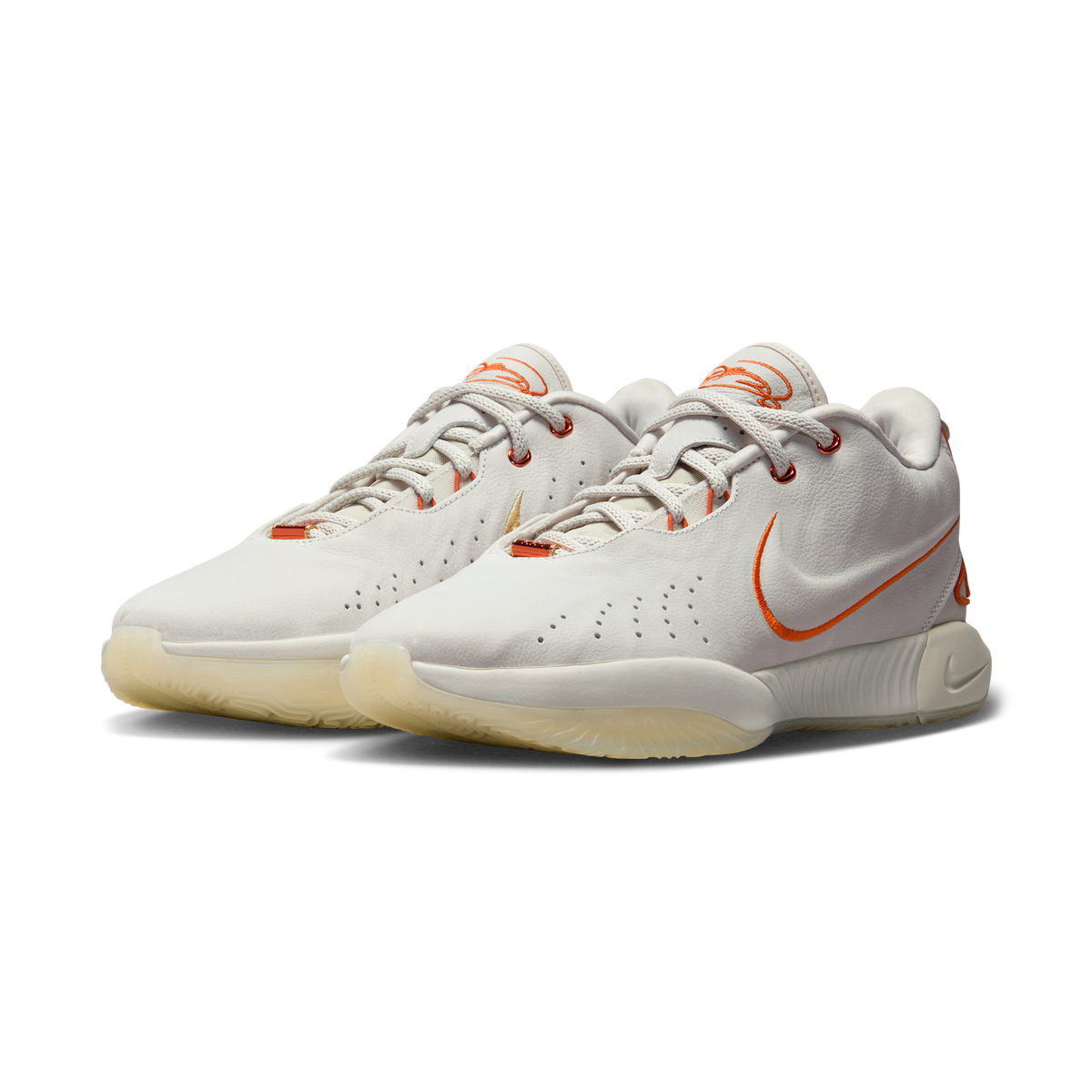 Nike LeBron 21 Akoya