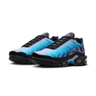 Nike Air Max Plus Black Hydrangeas (Women's) | HV2510-001