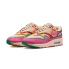 Nike Air Max 1 Familia
