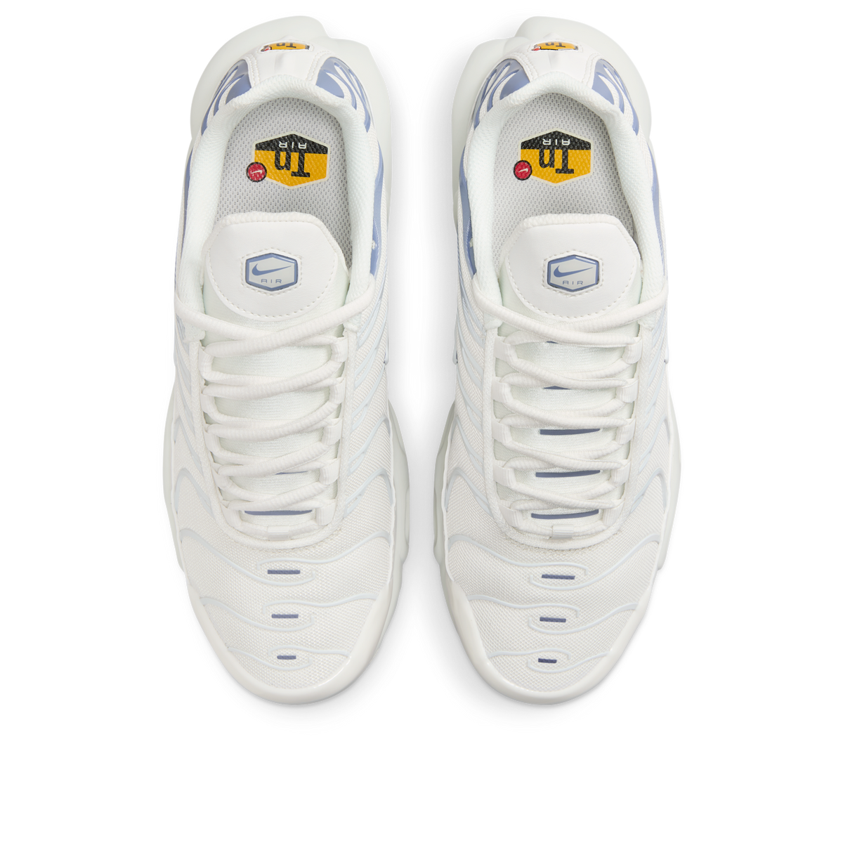 Nike Air Max Plus Ashen Slate (Women's) | DZ3671-104