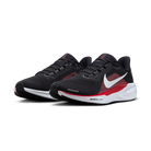 Nike Air Zoom Pegasus 41 Houston Texans (2025) | IB3195-400