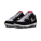 Jordan Stadium 90 Low TD Black Cement