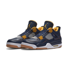 Jordan 4 Retro Dunk From Above