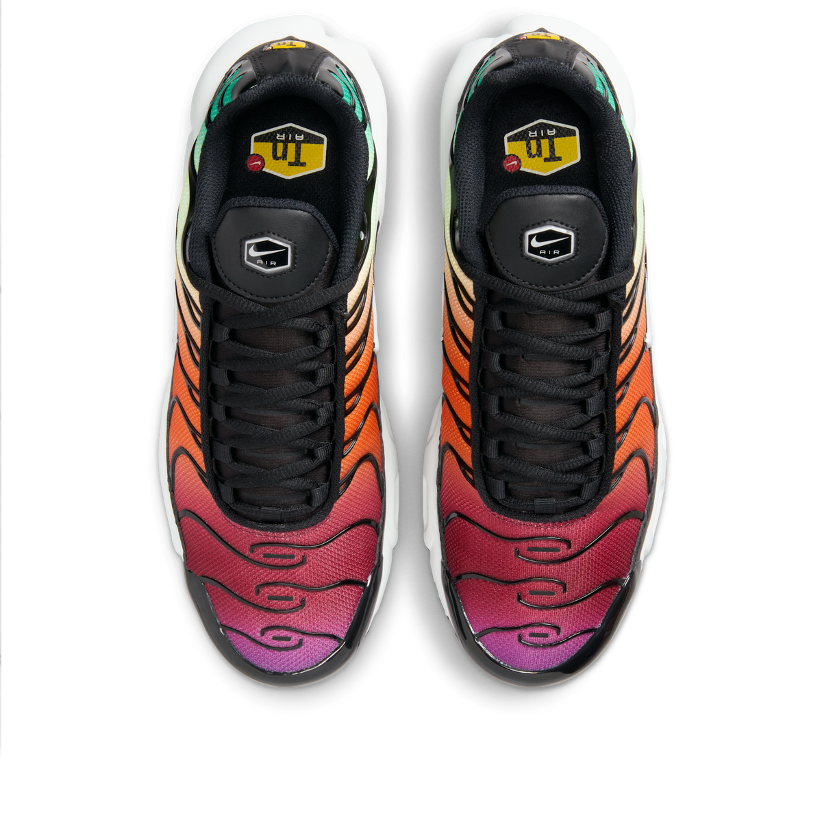 Nike Air Max Plus Rainbow (Women's) | DZ3670-001