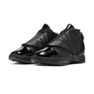 Jordan 16 Retro Black Pack