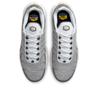 Nike Air Max Plus Flat Pewter | DV7665-002