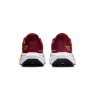 Nike Air Zoom Pegasus 41 Washington Commanders (2025) | IB3184-600