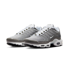 Nike Air Max Plus Flat Pewter | DV7665-002