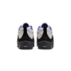 Nike SB Air Max Ishod White Black Court Purple | FB2393-104