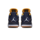 Jordan 4 Retro Dunk From Above
