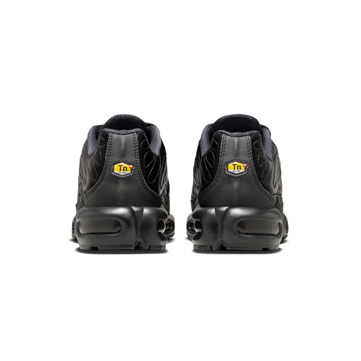 Nike Air Max Plus Black Anthracite Sail (Women's)
