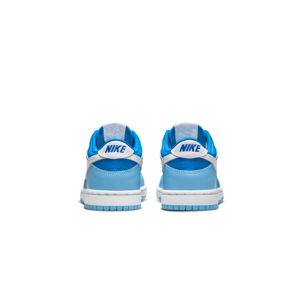 Nike Dunk Low Argon (2022) (PS)