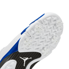 Jordan 14 Retro Golf White Hyper Royal