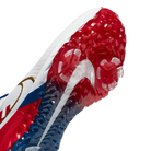 Nike Air Zoom Infinity Tour NRG Golf Ryder Cup USA