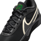 Nike Giannis Zoom Freak 6 Black Label