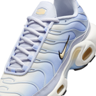 Nike Air Max Plus Daybreak (Women's) | DZ3670-004