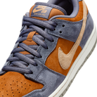 Nike SB Dunk Low Light Carbon Monarch