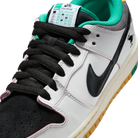 Nike SB Dunk Low CSEF