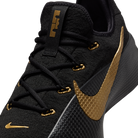 Nike LeBron TR 1 Black Metallic Gold | FJ6151-004