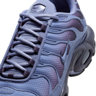 Nike Air Max Plus World Indigo | DM0032-404