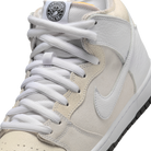 Nike SB Dunk High Antihero Skateboards