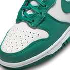 Nike Dunk High Bicoastal (Women's)