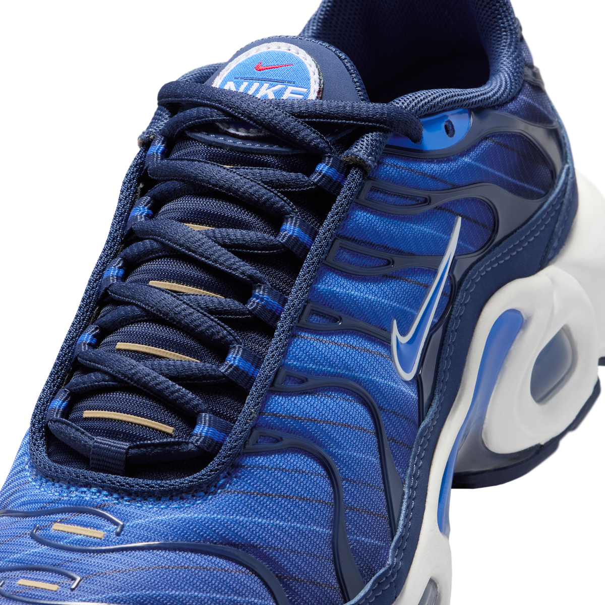Nike Air Max Plus SE Lyon Blue (GS)