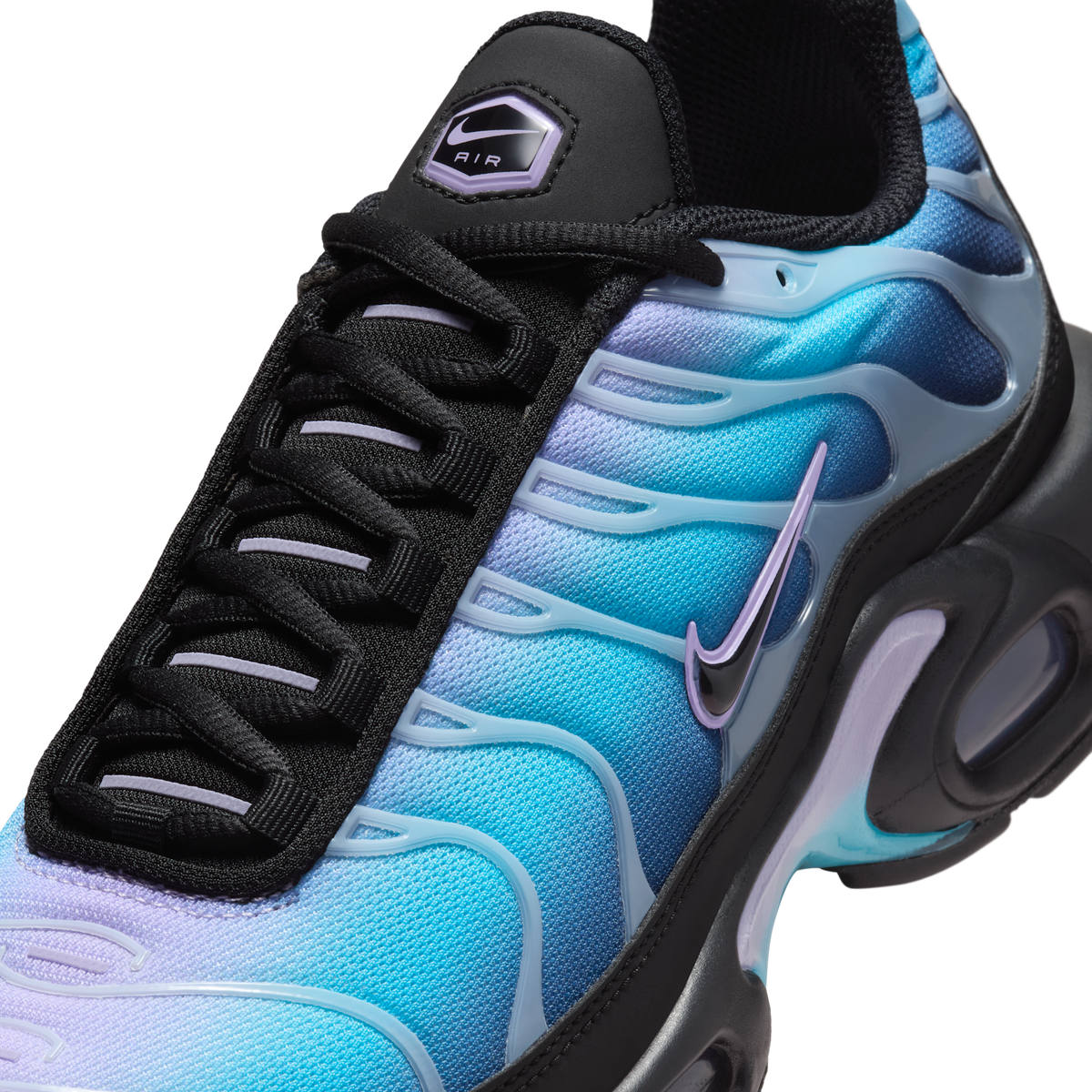 Nike Air Max Plus Black Hydrangeas (Women's) | HV2510-001