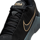 Nike LeBron Witness 9 Black Dark Smoke Grey (Translucent Outsole)