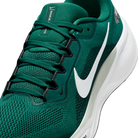 Nike Air Zoom Pegasus 41 Philadelphia Eagles (2025) | IB3215-300