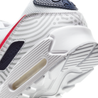 Nike Air Max 90 Euro Tour (2020)