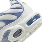 Nike Air Max Plus Ashen Slate (Women's) | DZ3671-104