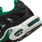 Nike Air Max Plus Black Malachite | DM0032-009