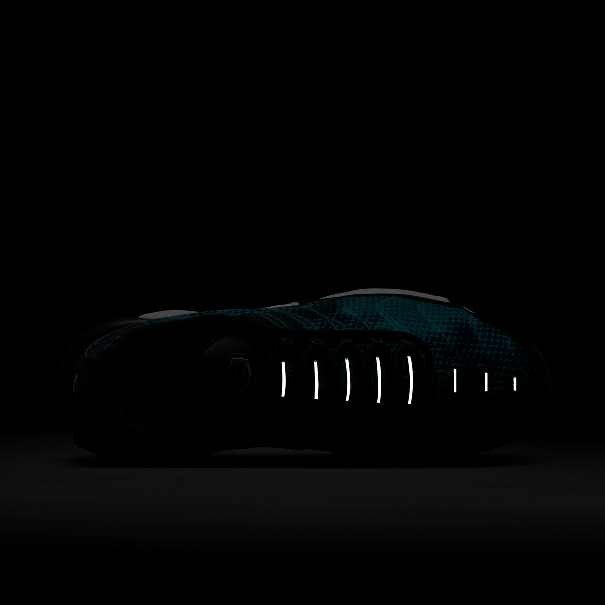 Nike Air Max Plus Dot Pattern Black Dusty Cactus (Women's) | HV6355-001