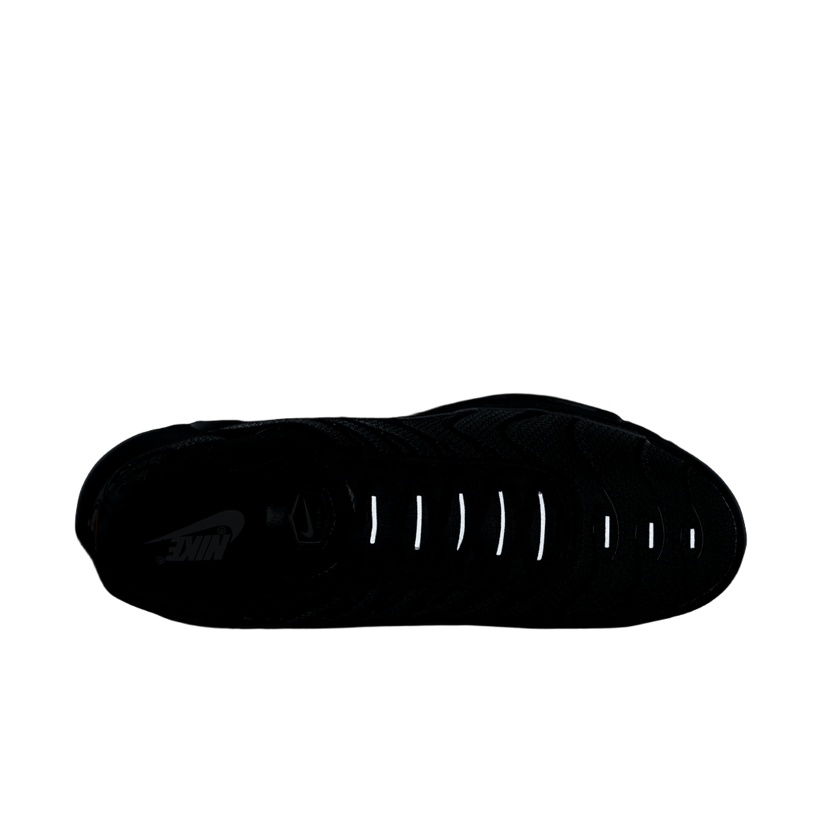 Nike Air Max Plus Triple Black