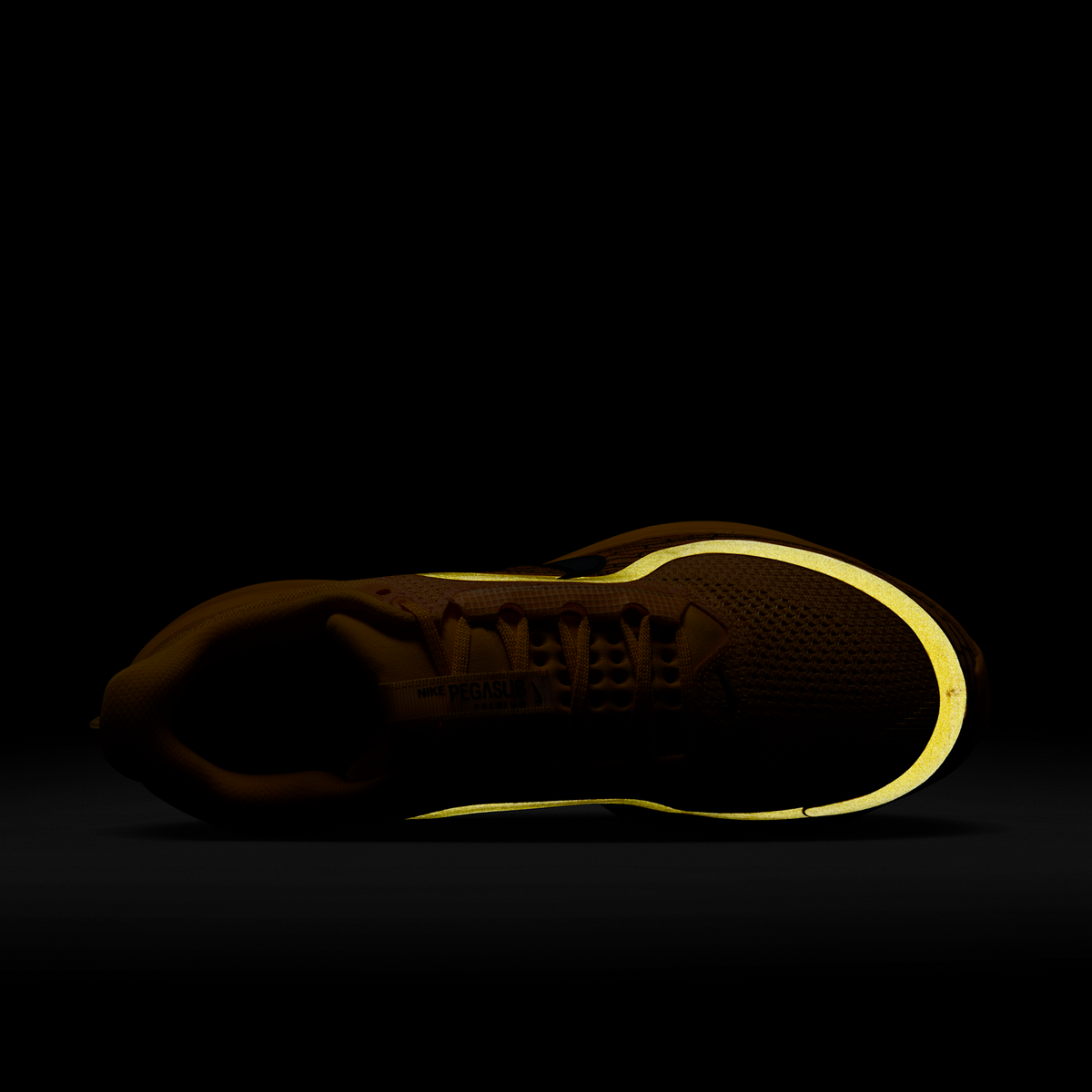 Nike Air Zoom Pegasus Premium Modern Mayfly