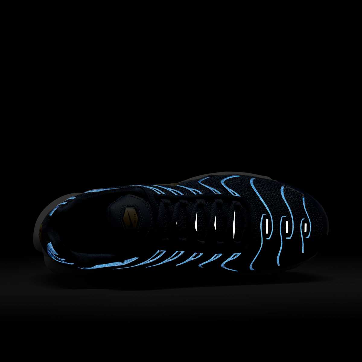 Nike Air Max Plus FFF | FB3350-400