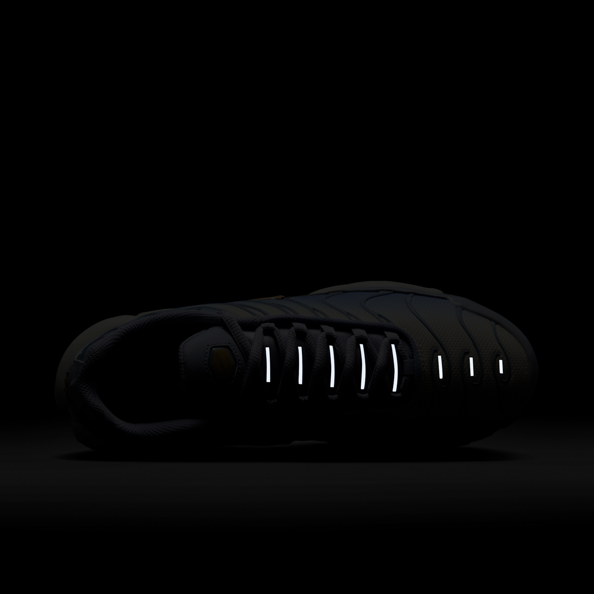Nike Air Max Plus Daybreak (Women's) | DZ3670-004