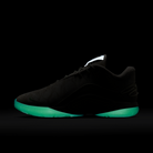 Nike LeBron 22 Dunkman (Translucent Outsole)