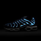 Nike Air Max Plus FFF | FB3350-400