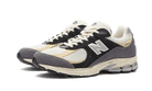 New Balance 2002R Magnet