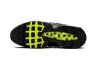 Air Max 95 houseflies